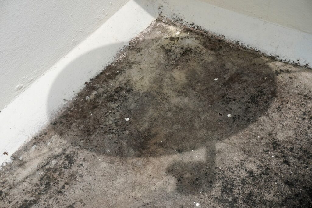 crawl space odor removal