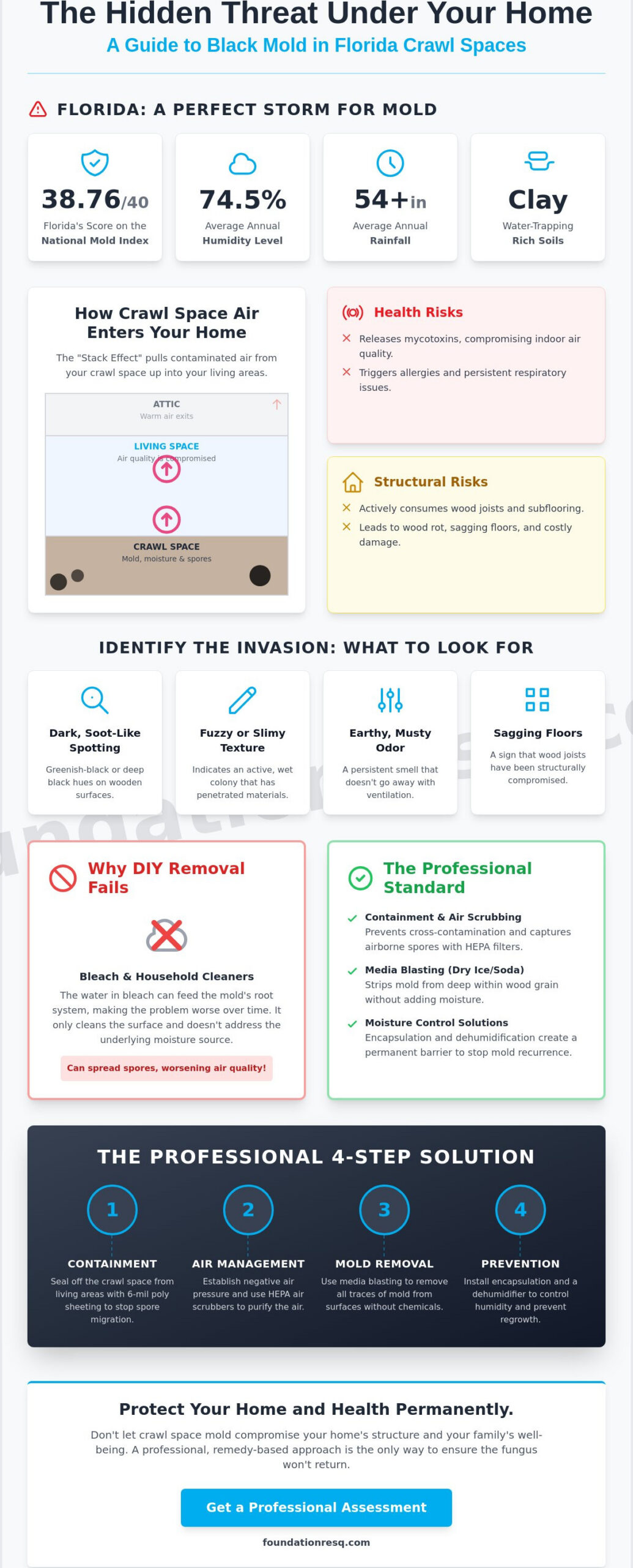Black Mold in Crawl Space Removal: A Professional Remediation Guide