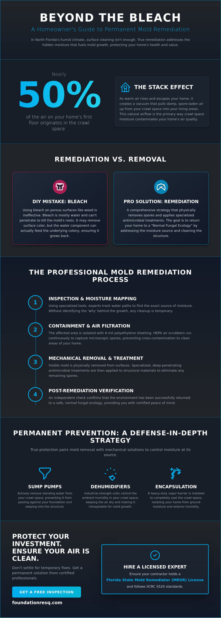 Professional Mold Remediation in Tallahassee, FL: The Homeowner’s Guide to Permanent Solutions