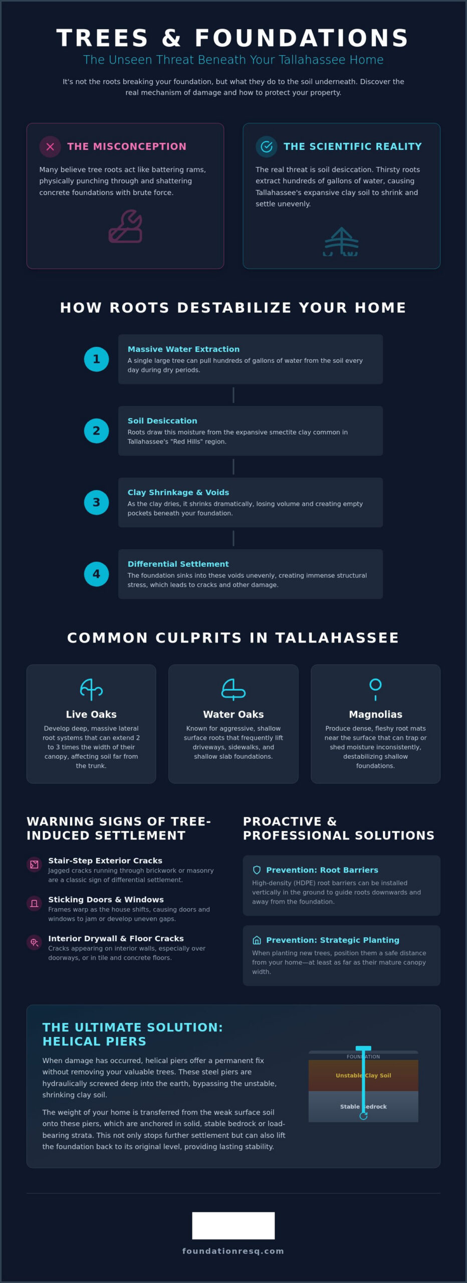 Preventing Foundation Damage from Trees in Tallahassee: A Homeowner’s Guide