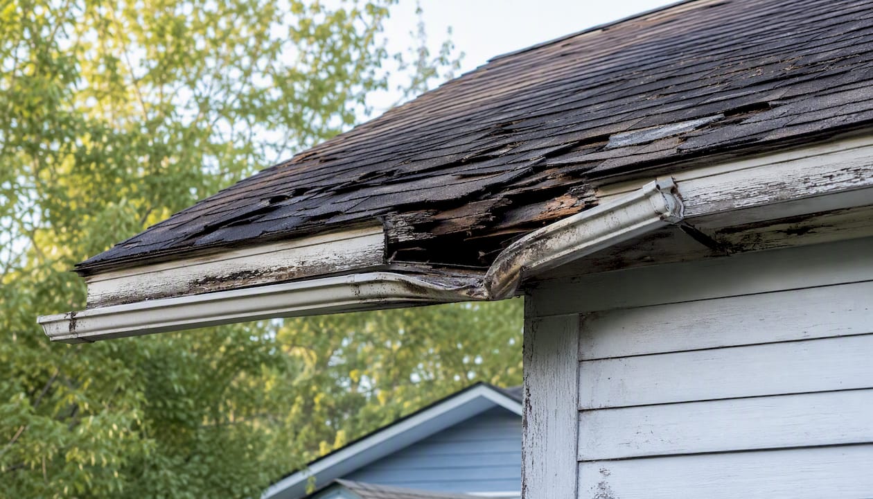 Damaged roofline with missing shingles