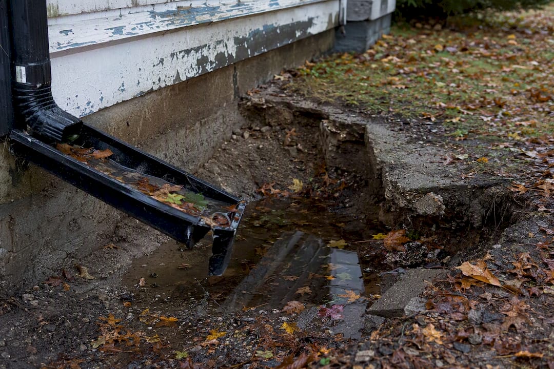 Clogged gutters and water pooling near foundation