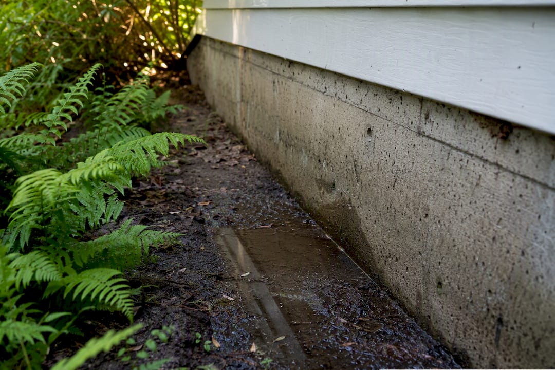 Water pooled next to foundation wall
