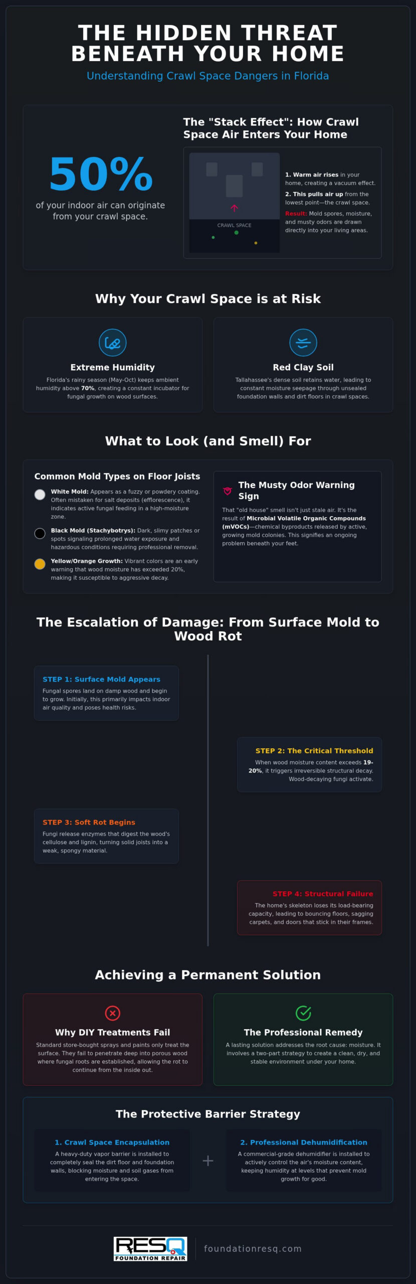 Health Risks of Crawl Space Mold in Florida: Protecting Your Home and Family