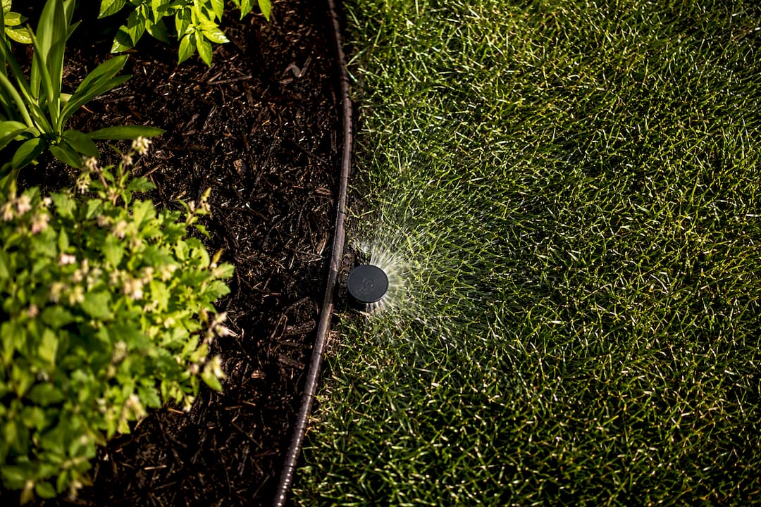 Pop-up emitter releasing water across lawn